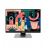 Монітор 24.1" ASUS ProArt PA248QV IPS FullHD 60Hz