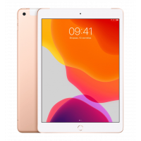 Apple iPad (2019) 10.2 Wi-Fi 32GB Gold (MW762) Б/В