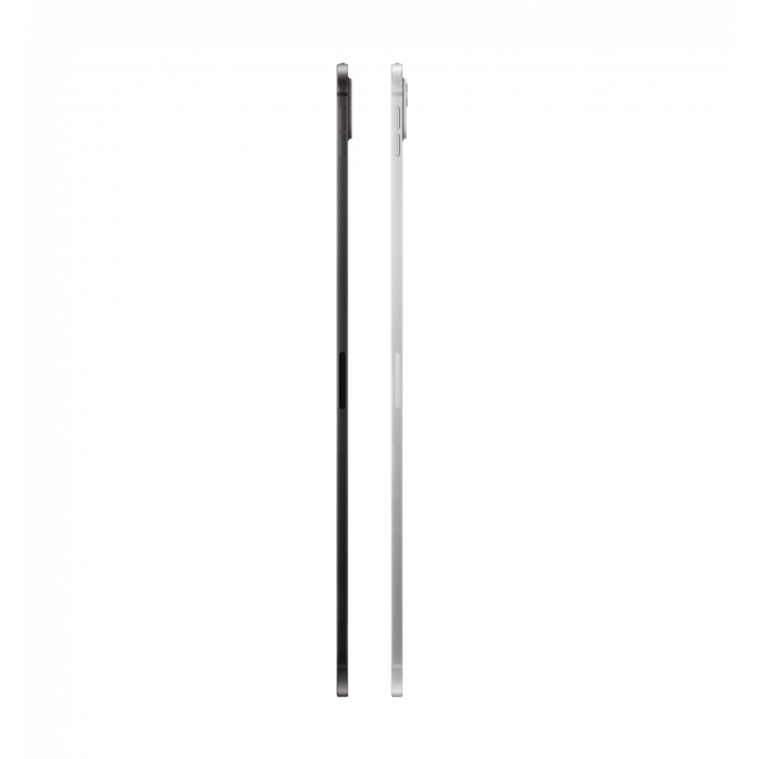iPad Pro 13 M4 (2024) Wi-Fi + Cellular with Standard Glass 256GB Silver (MVXT3)