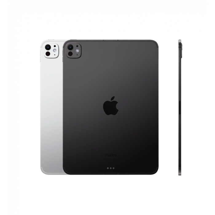 iPad Pro 11 M4 (2024) Wi-Fi + Cellular with Standard Glass 256GB Space Black (MVW13)