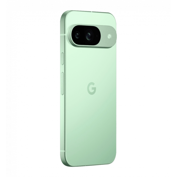 Смартфон Google Pixel 9 12/256GB Wintergreen