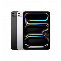 iPad Pro 11 M4 (2024) Wi-Fi with Standard Glass 2TB Silver (MVVH3)