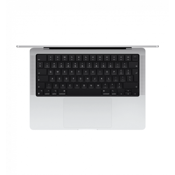 Apple MacBook Pro 16"/Apple M4 Max/16C CPU/40C GPU/48GB RAM/1TB SSD/Silver (MX2W3UA/A) UA