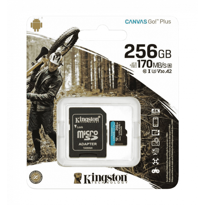 Карта памяти Kingston Canvas Go Plus 256Gb 10 A2 V30 (R170MB/s, W90MB/s)