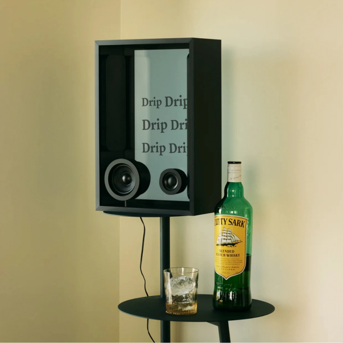 Acoustic system Cotodama Speaker Box