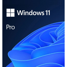 ПЗ Microsoft Windows 11 Pro