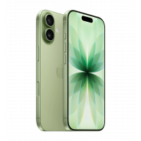 iPhone 17 256 ГБ Sage e-sim (MG4A4)